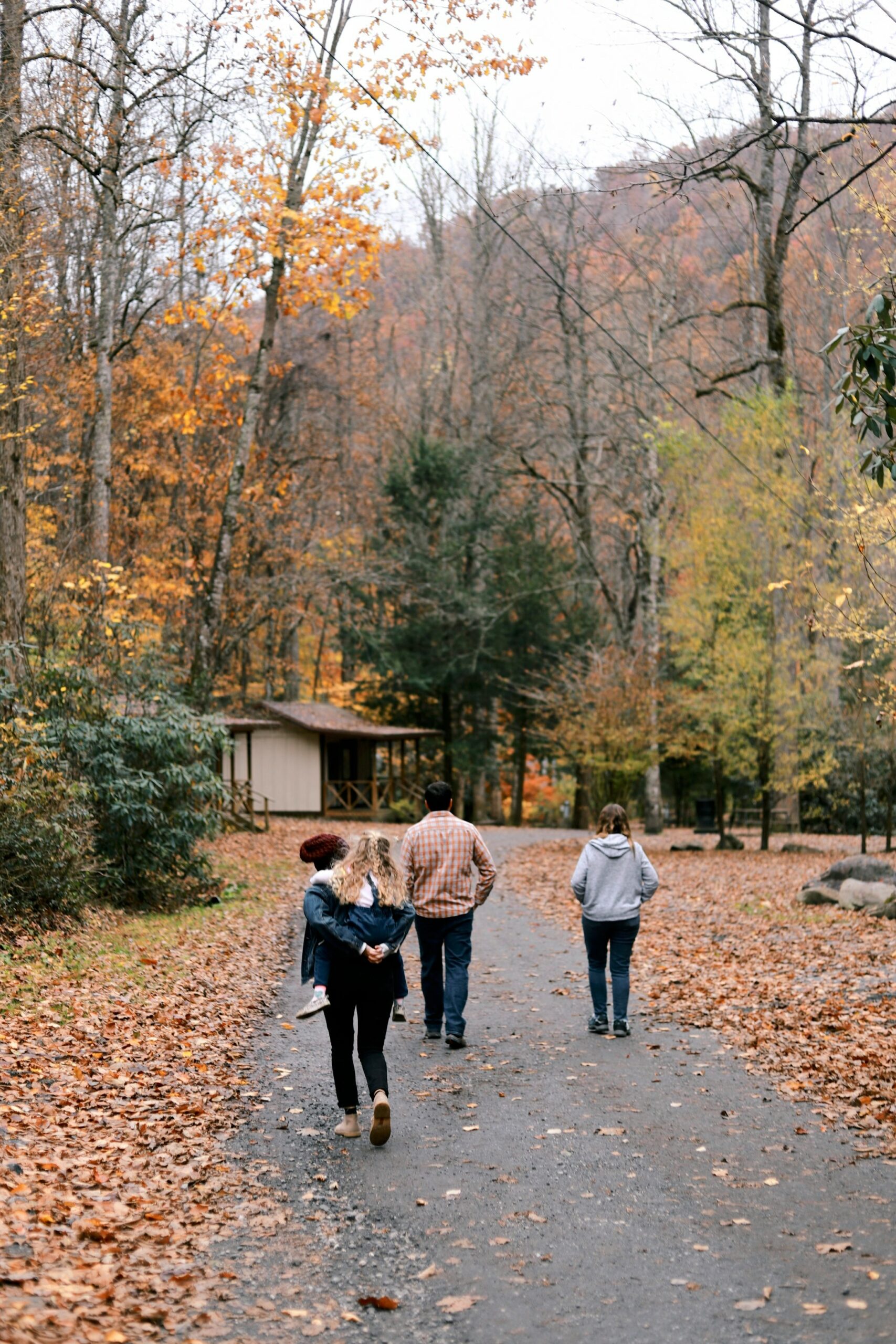 amy humphries 5XZ3mPnPTIY unsplash scaled