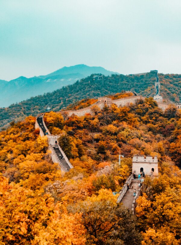 hanson-lu-Q36BvLGdOAg-unsplash