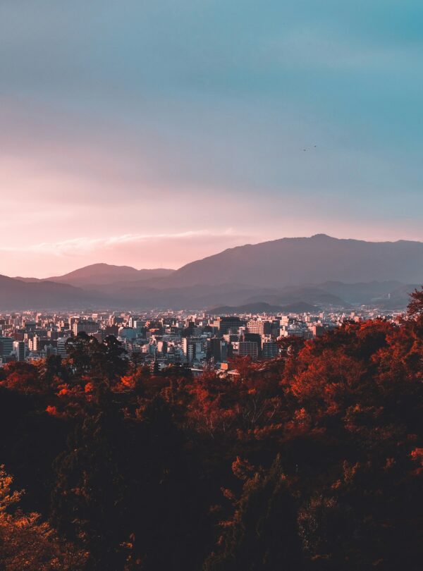 su-san-lee-E_eWwM29wfU-unsplash